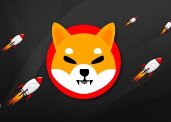 Ethereum Whale 2,019.048,79$ değerinde SHIB satın aldı