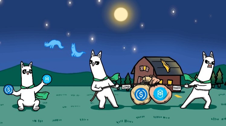 What is Alpaca coin?