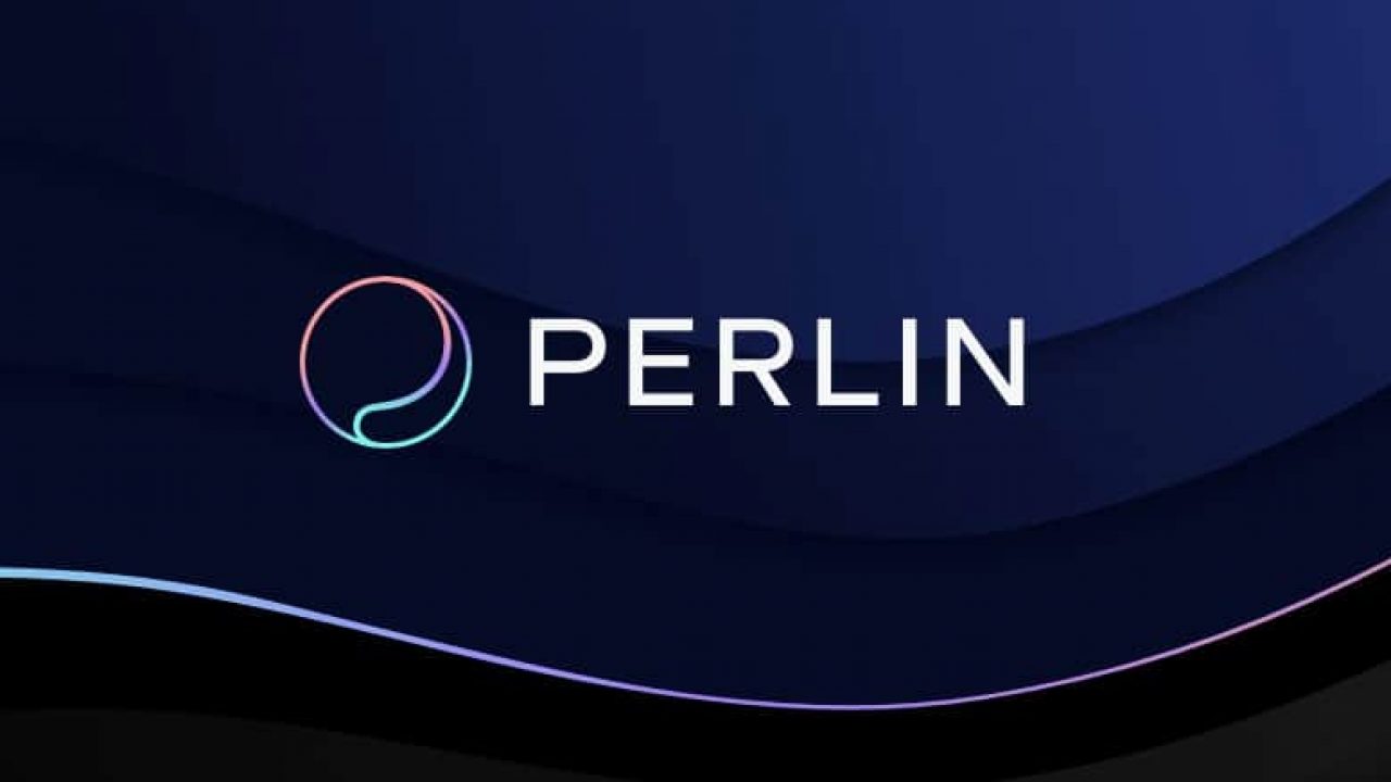 PERL coin comment